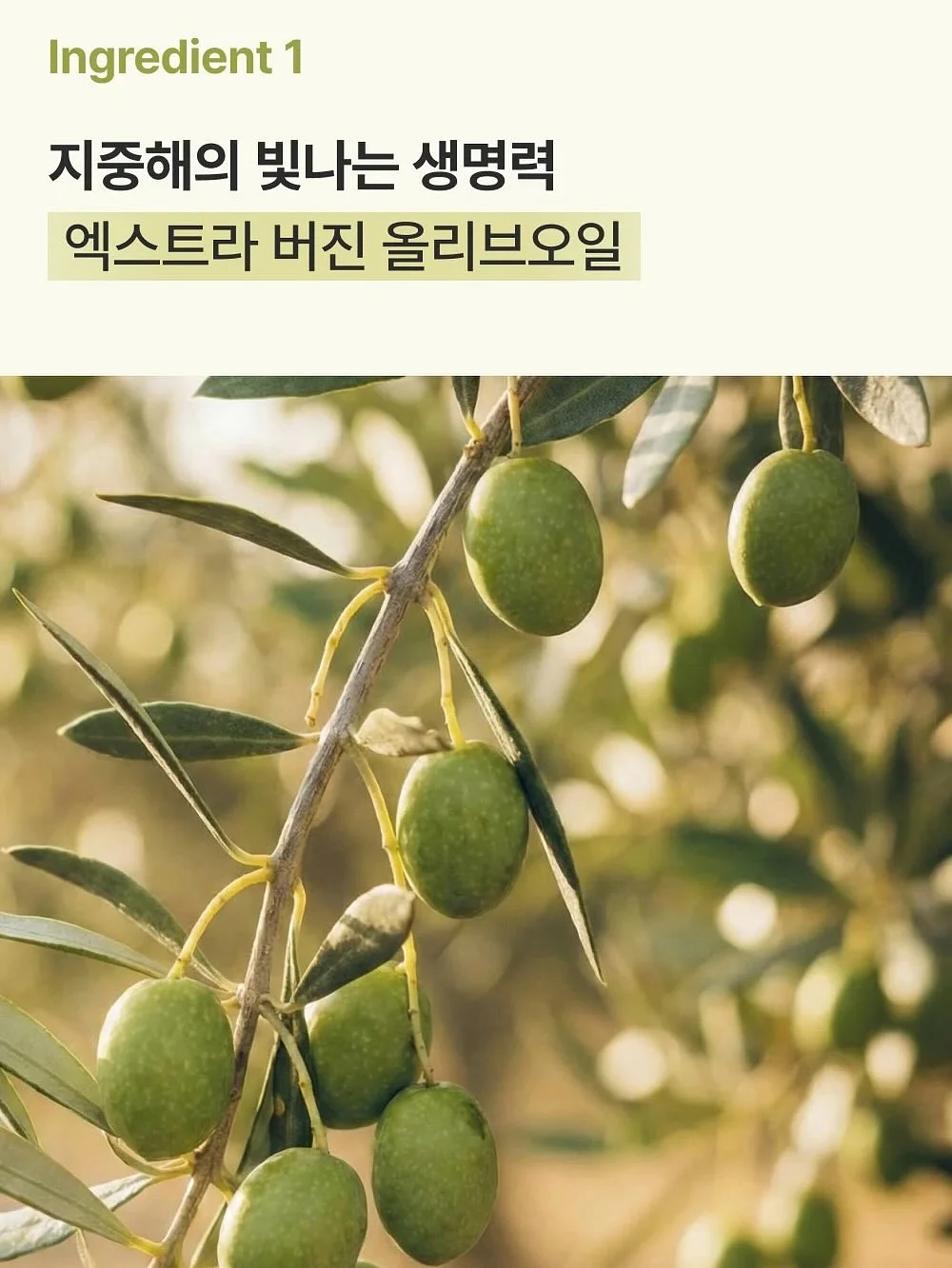 epii 텀블러 6