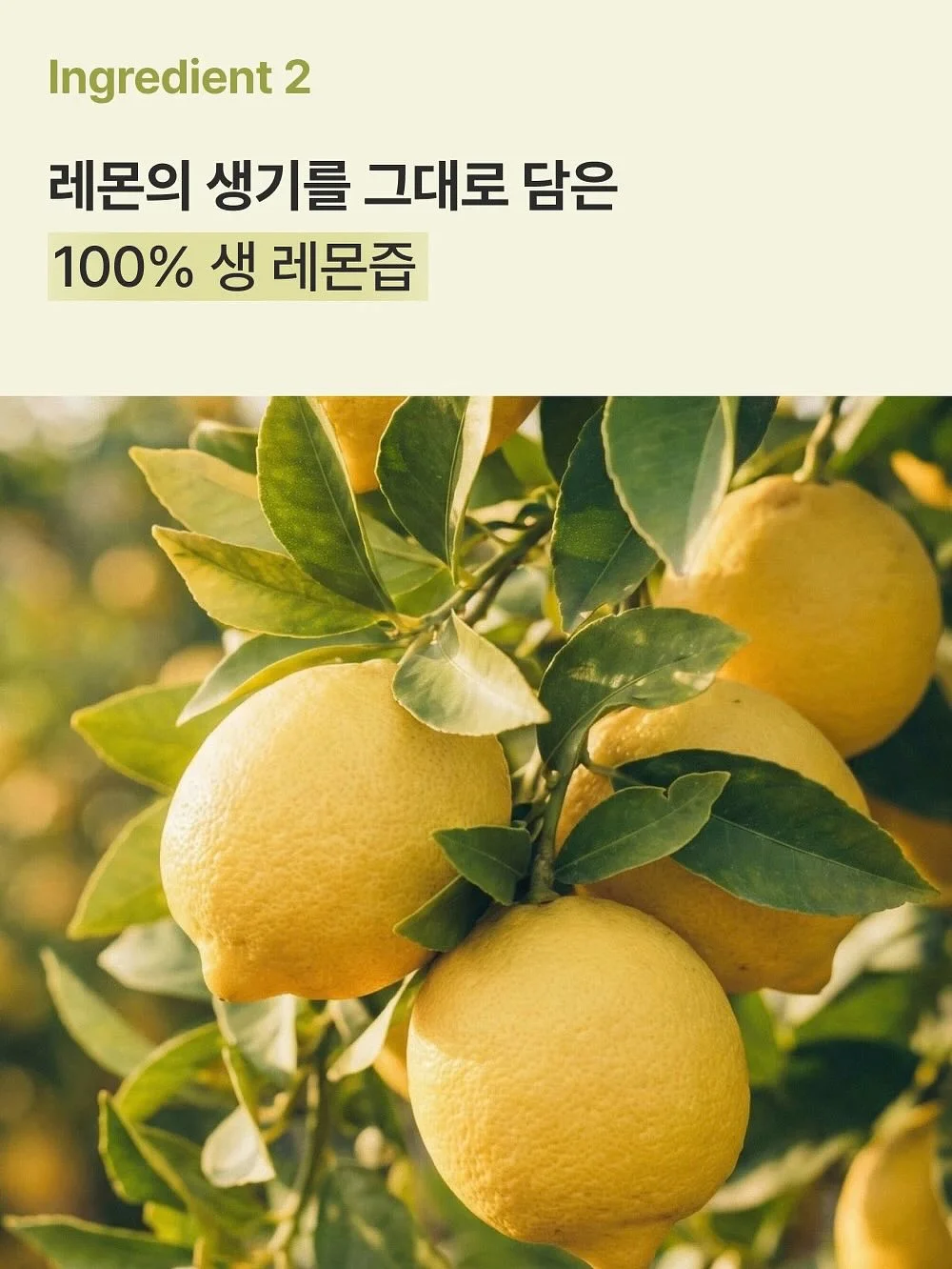 epii 텀블러 10
