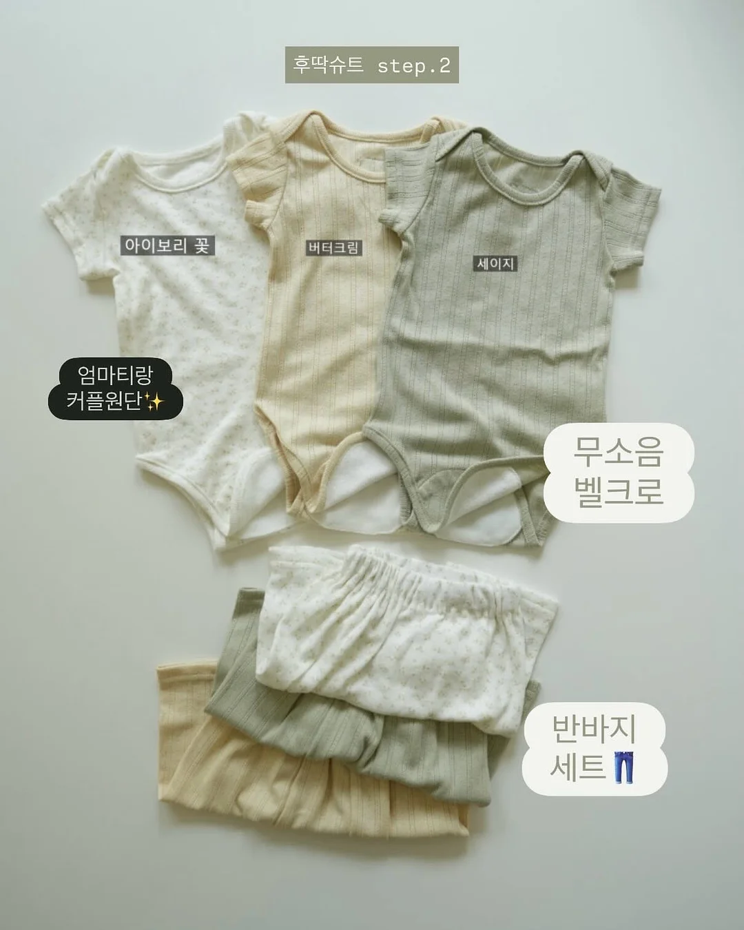 코트홀더 5