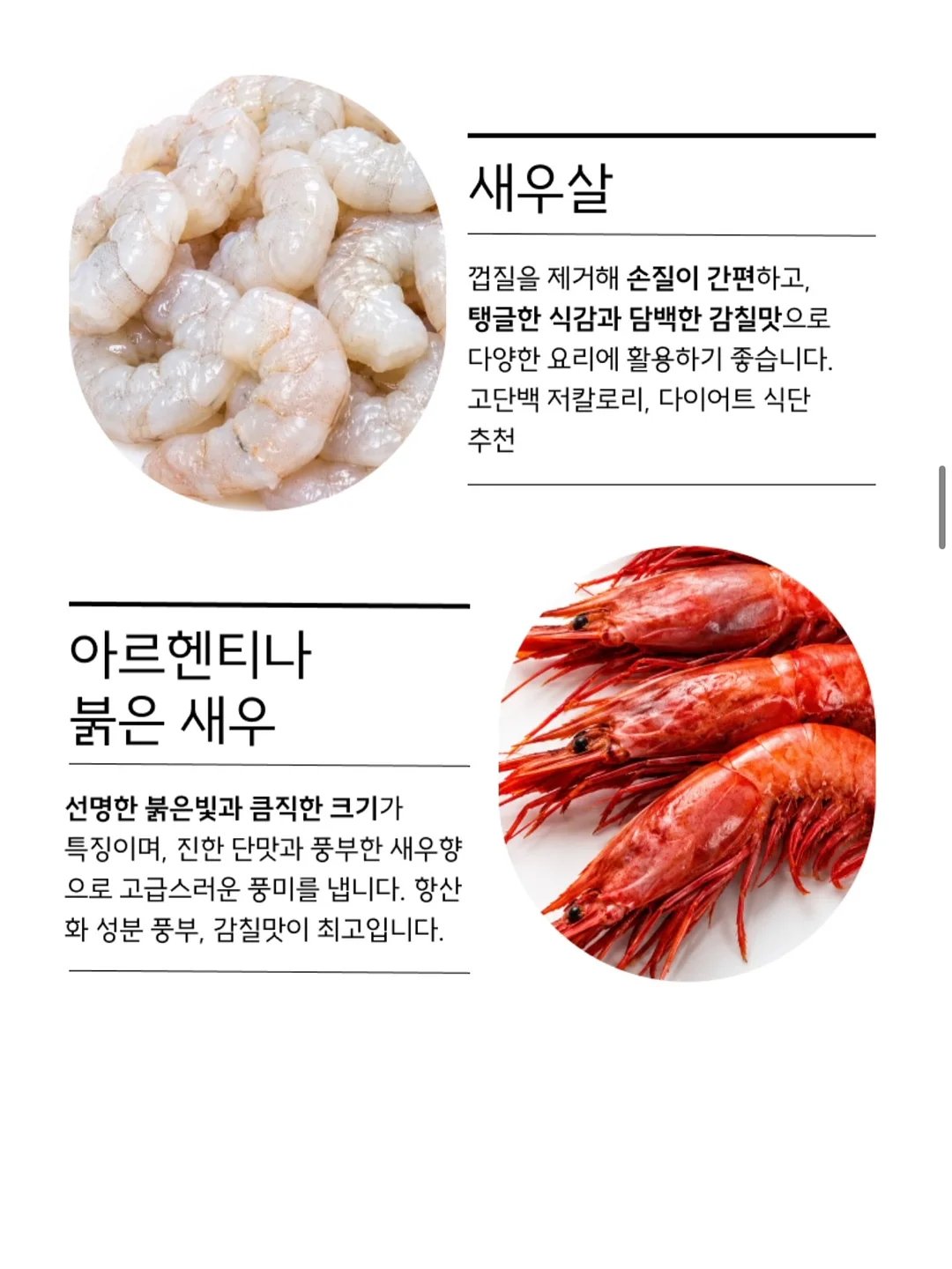 미케 롤업 스트라이프 셔츠 14