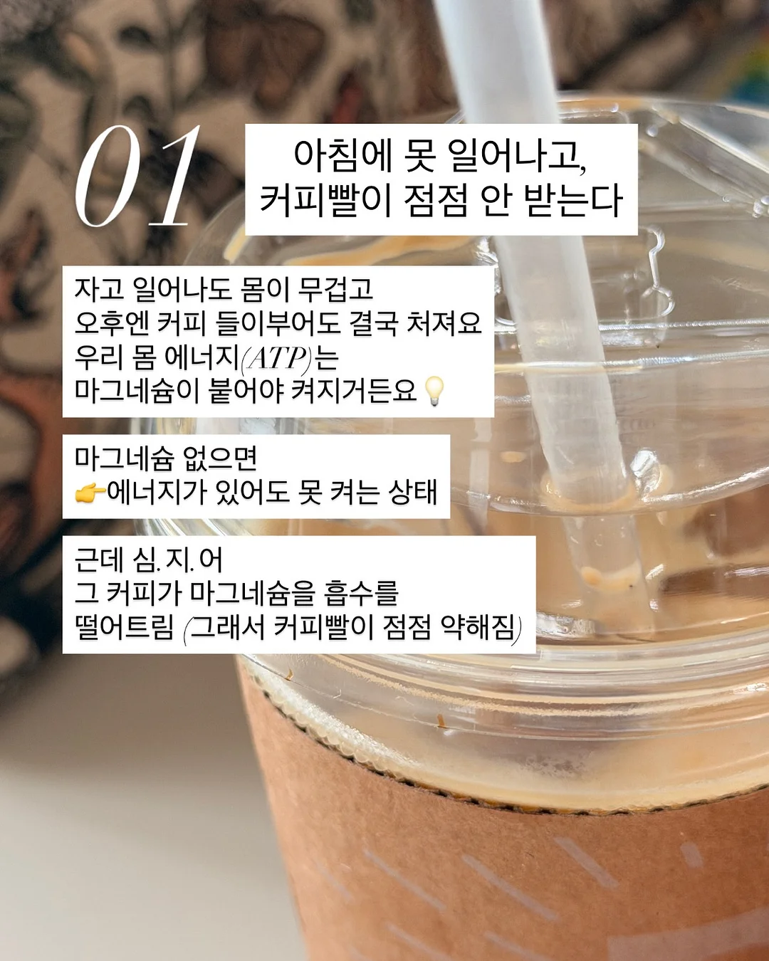 란가구 M53 수납장 2