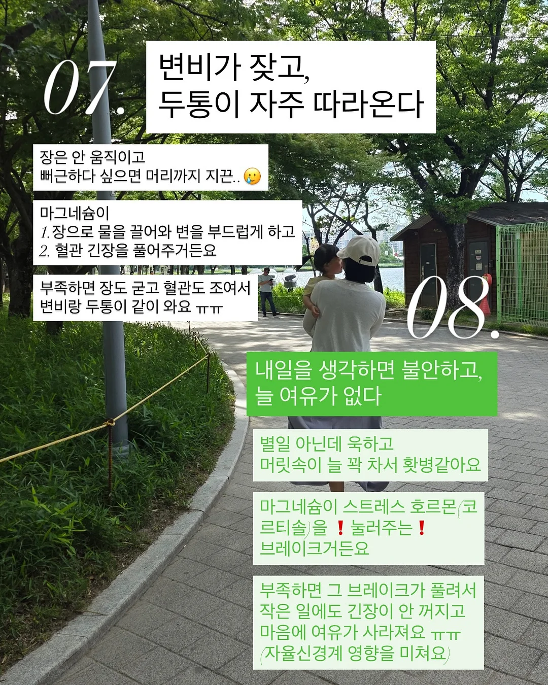 란가구 M53 수납장 6