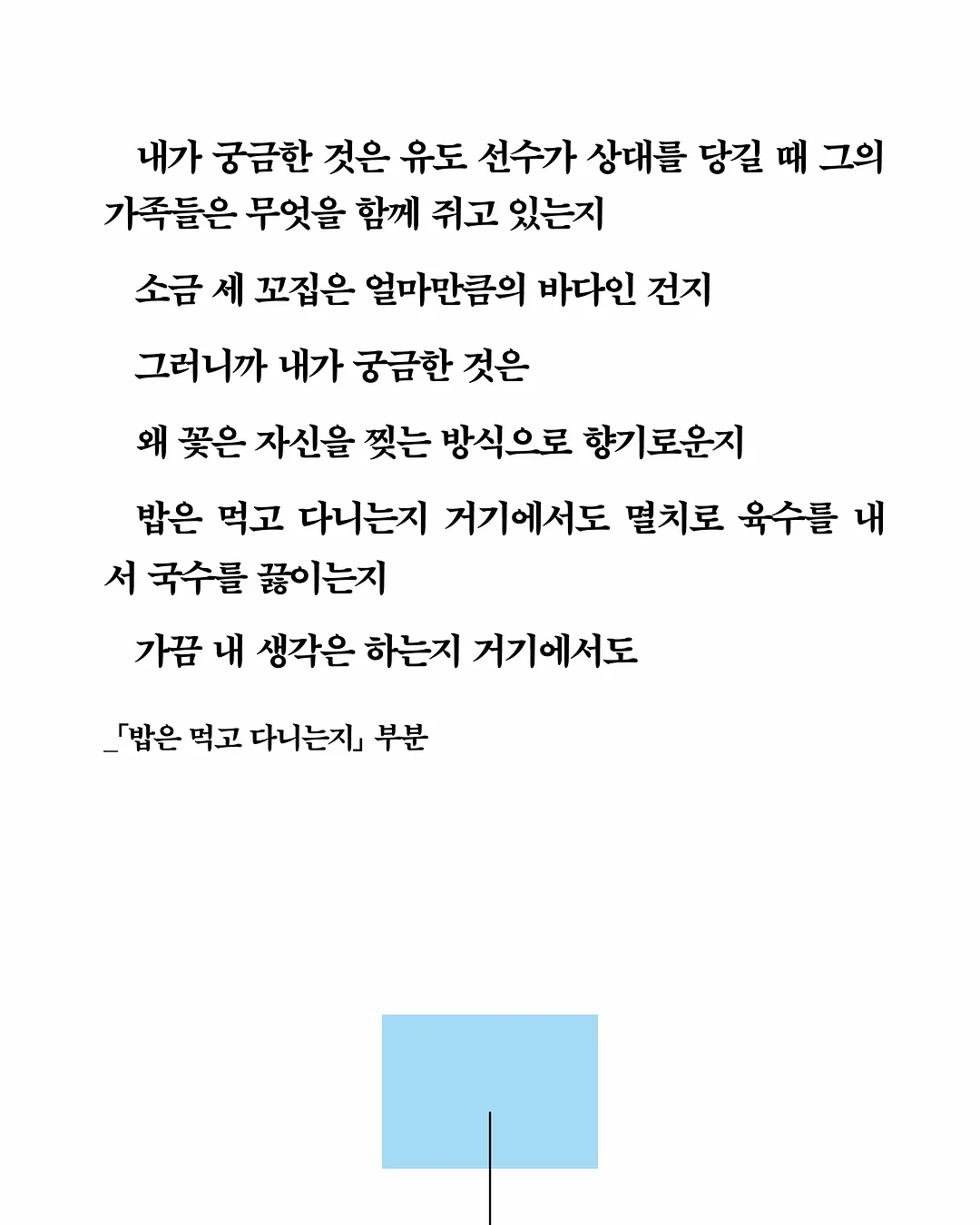 고양이 해먹 7