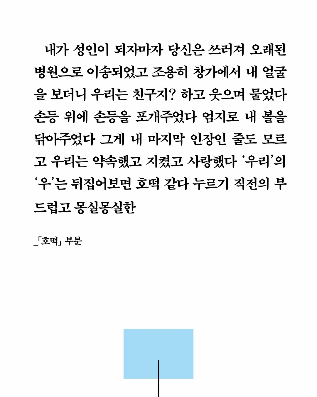 고양이 해먹 8