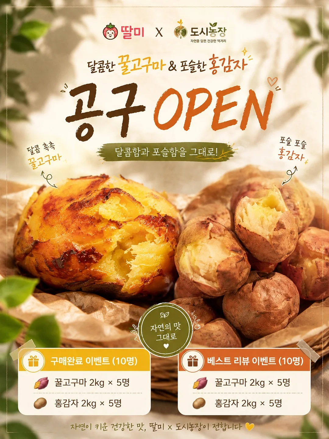 싹탄 탈취제 1