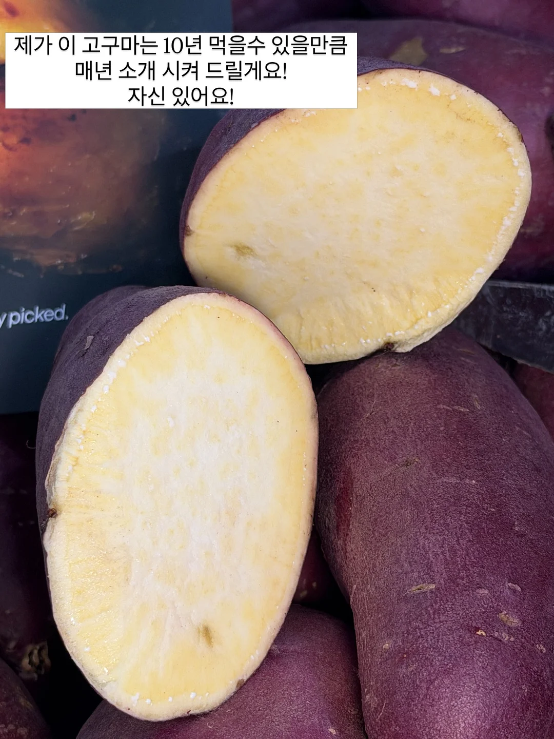 싹탄 탈취제 11