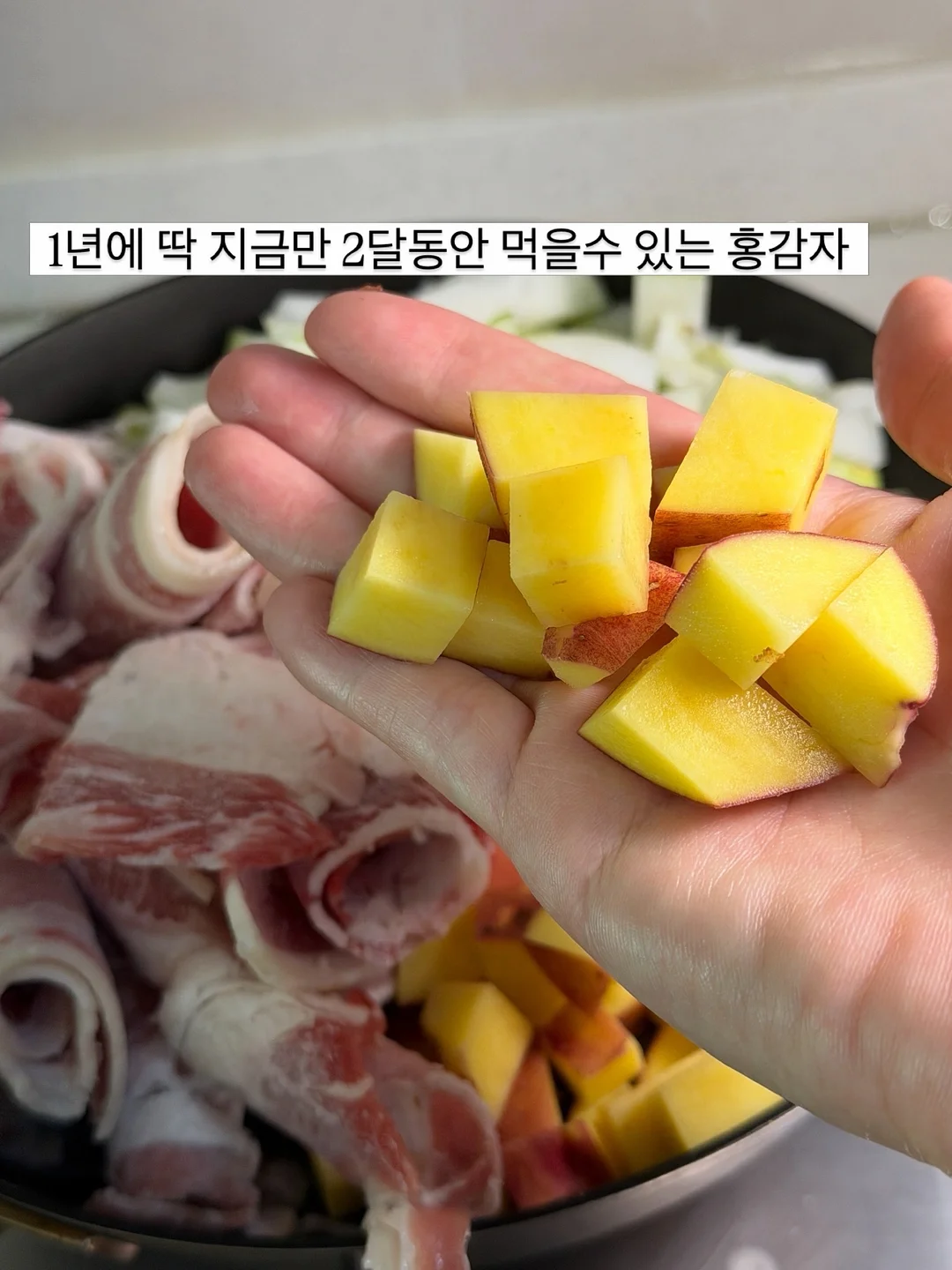 싹탄 탈취제 9
