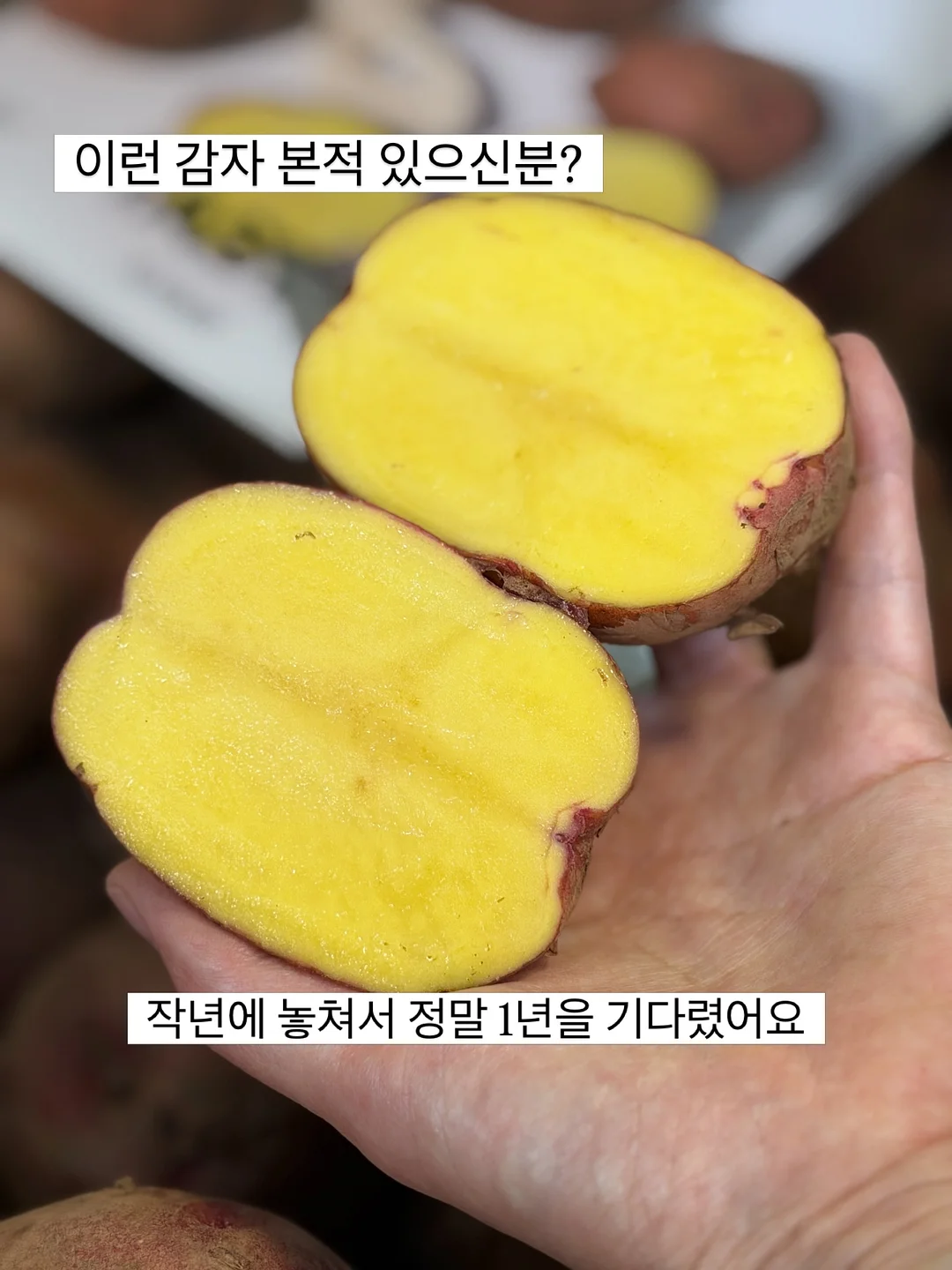 싹탄 탈취제 10
