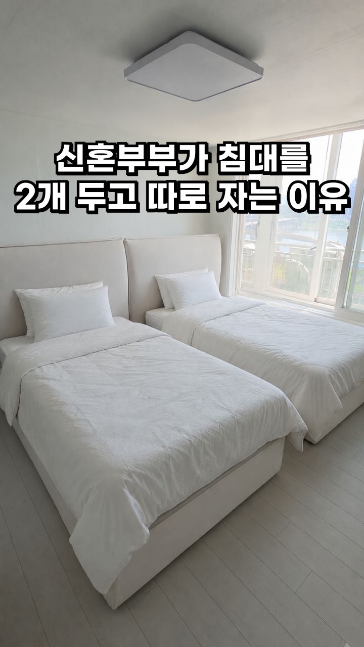 유기농 고구마