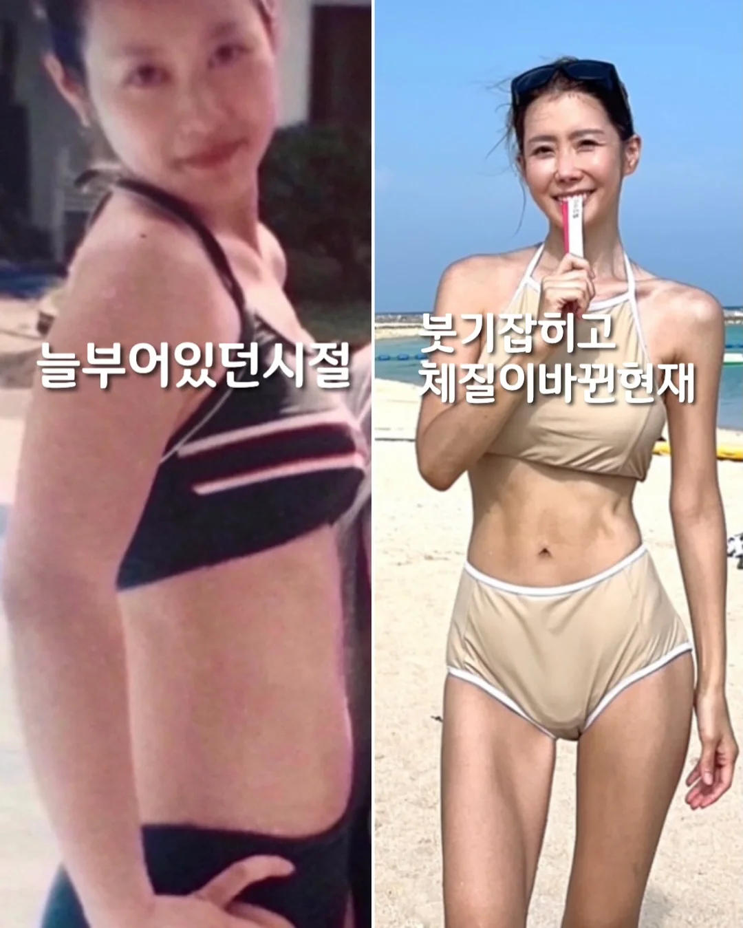 스승의날 선물/간식 2
