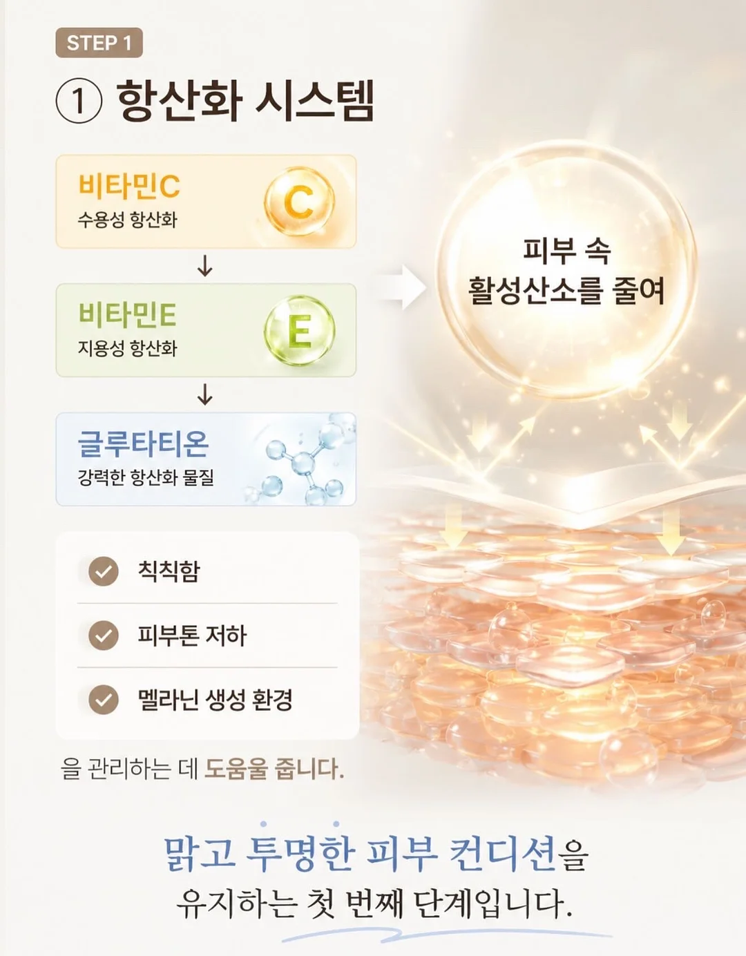 팍시 다이어트 6
