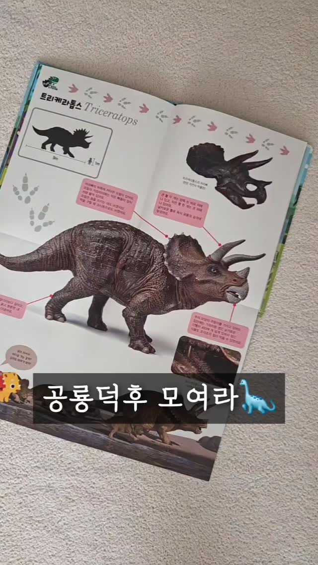 먼지털이