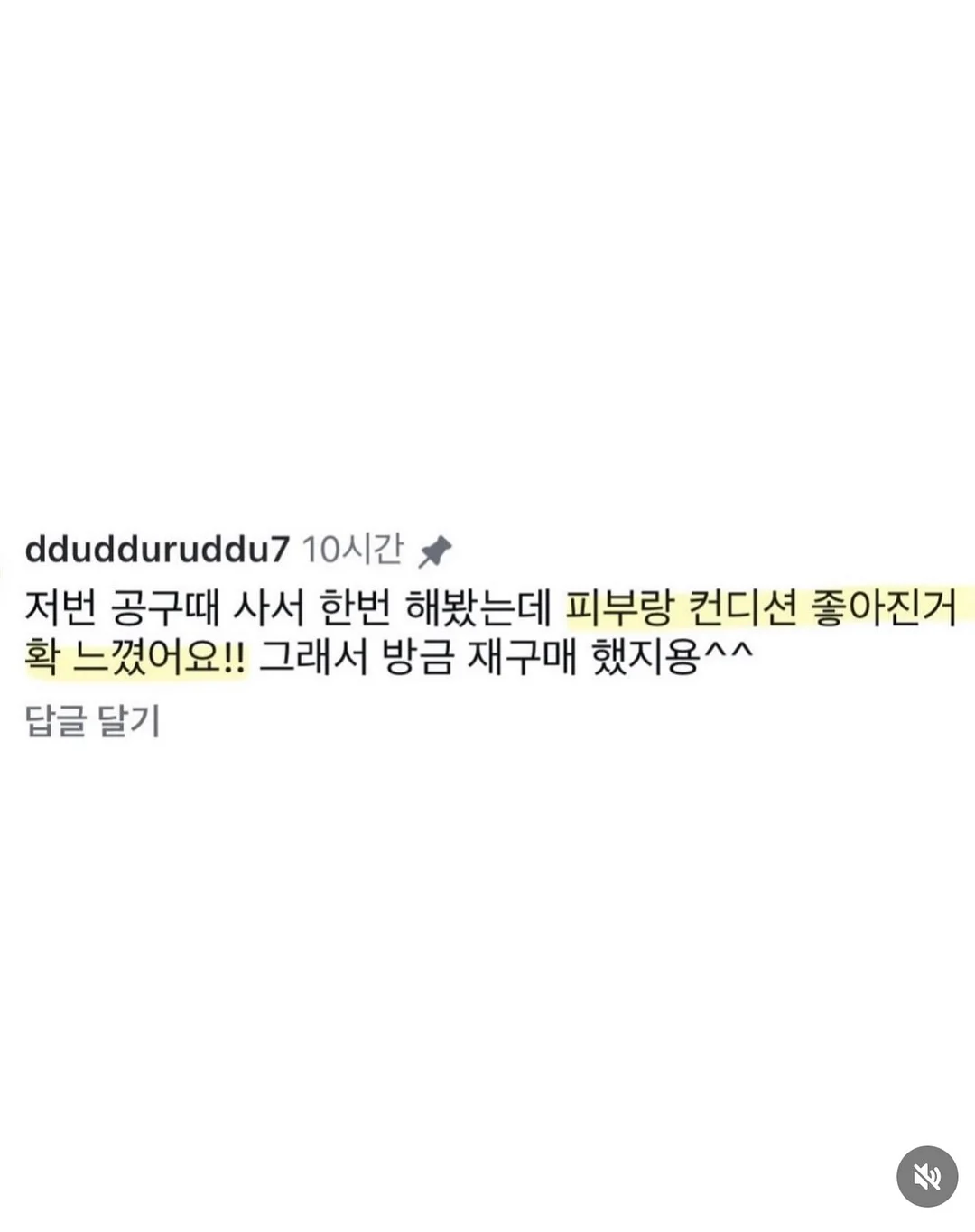 유기농 메론 3수 4