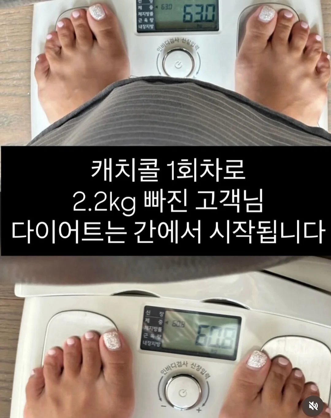 유기농 메론 3수 5