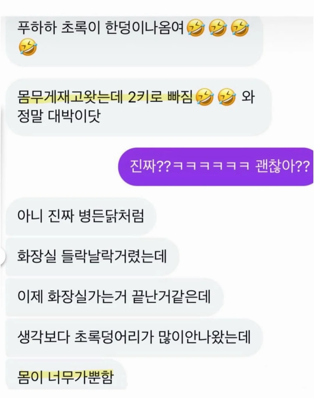 유기농 메론 3수 7