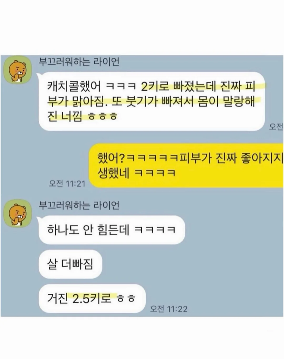 유기농 메론 3수 8