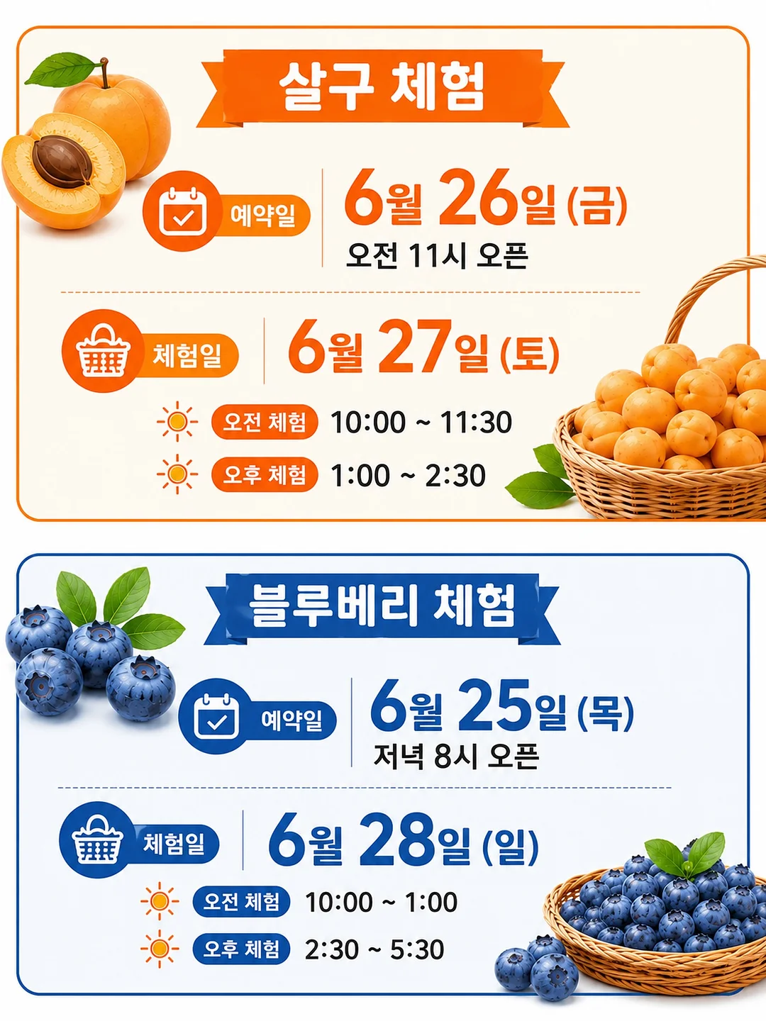 지젤 썸머 세미 와이드 슬랙스
