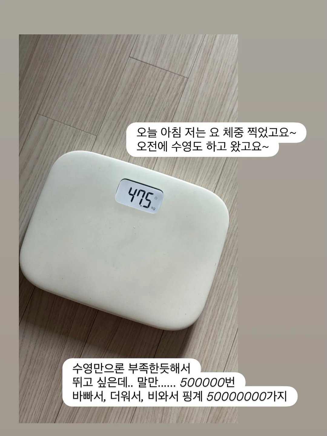 아이리조트 머드하우스 17