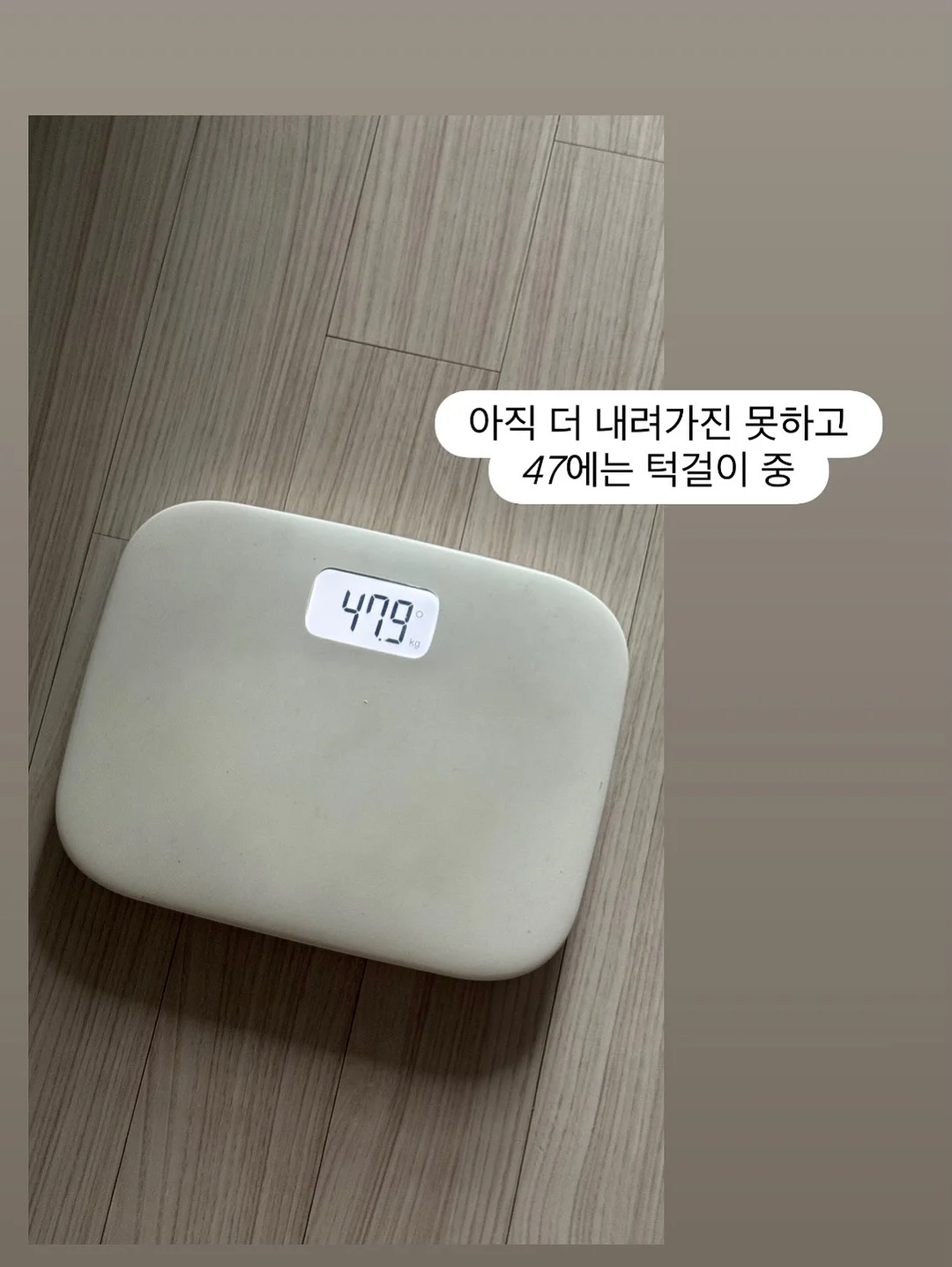 아이리조트 머드하우스 18