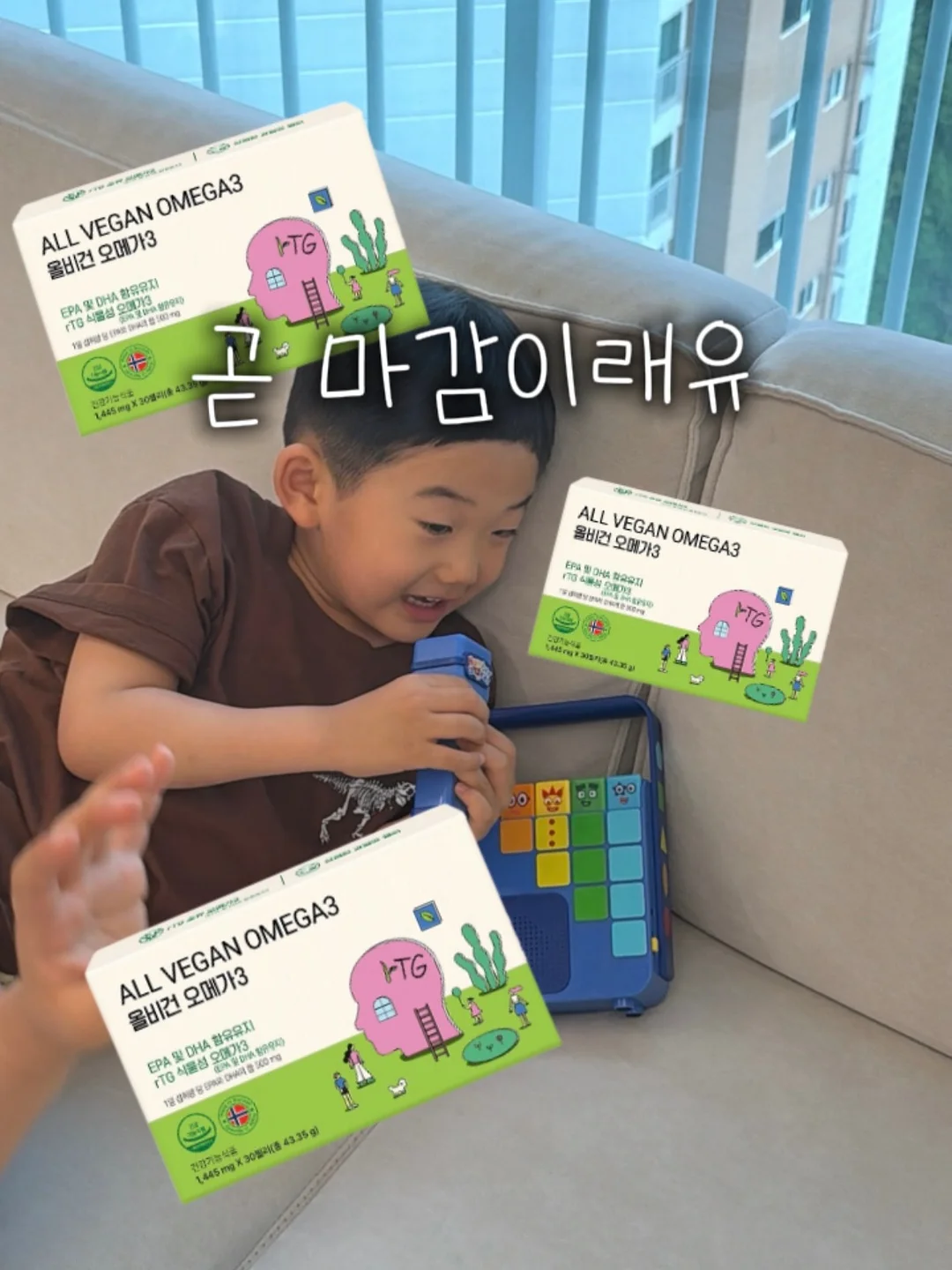 월넛 북쉘프 1