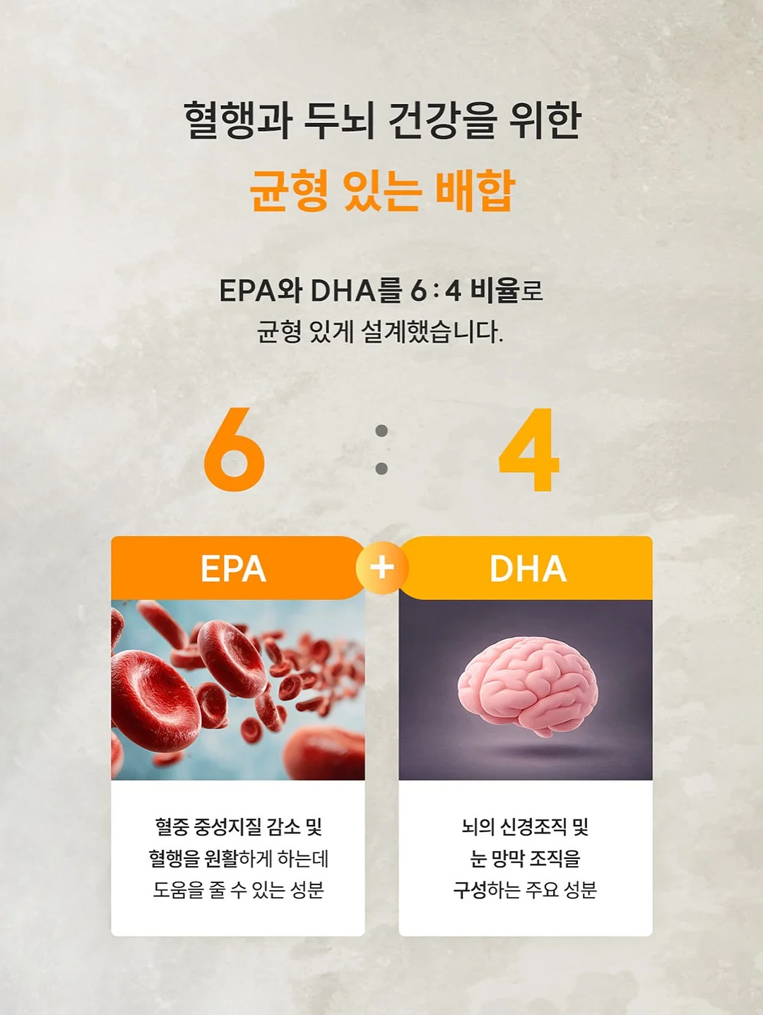 비밀요원 레너드 우리 고전 11