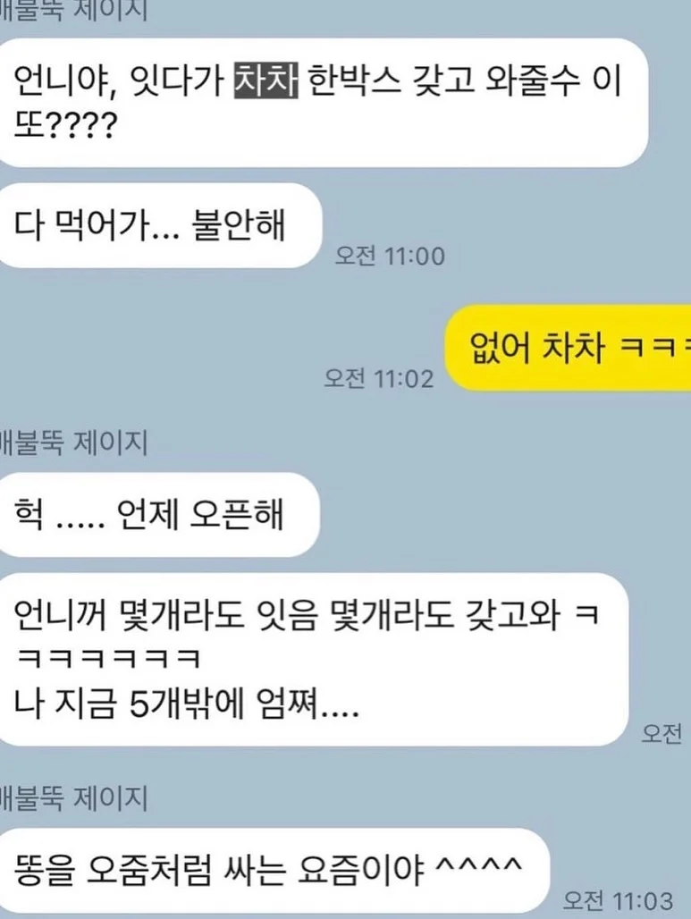 첵스네트백 도안 4