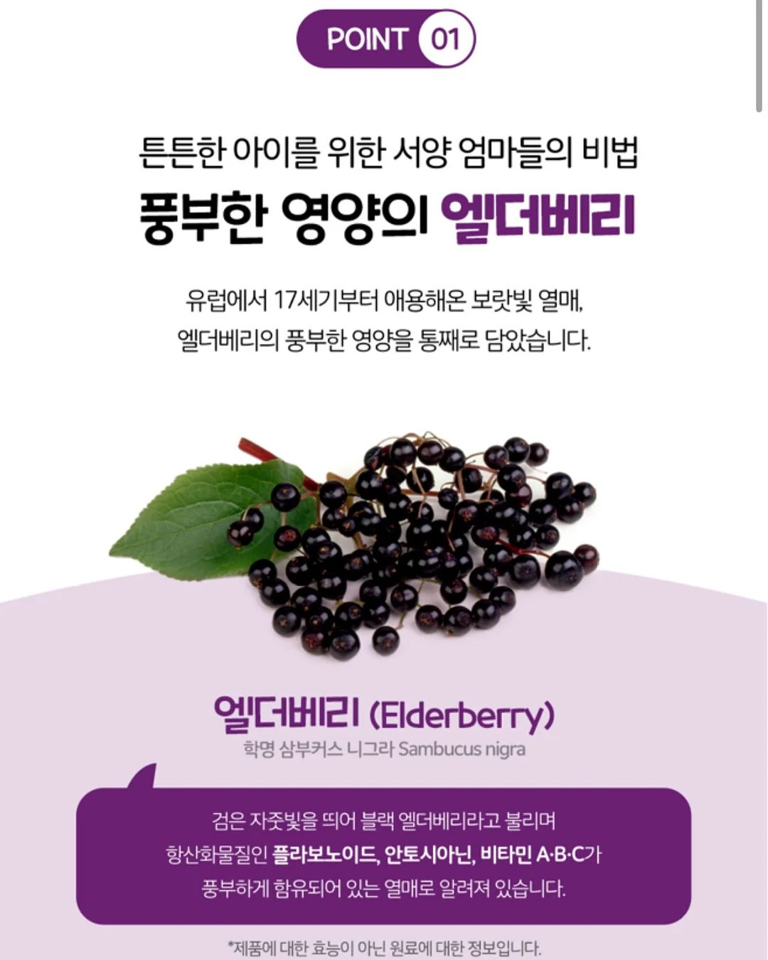 봄날의 보넷 8