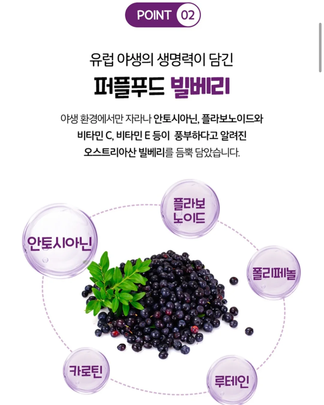 봄날의 보넷 9