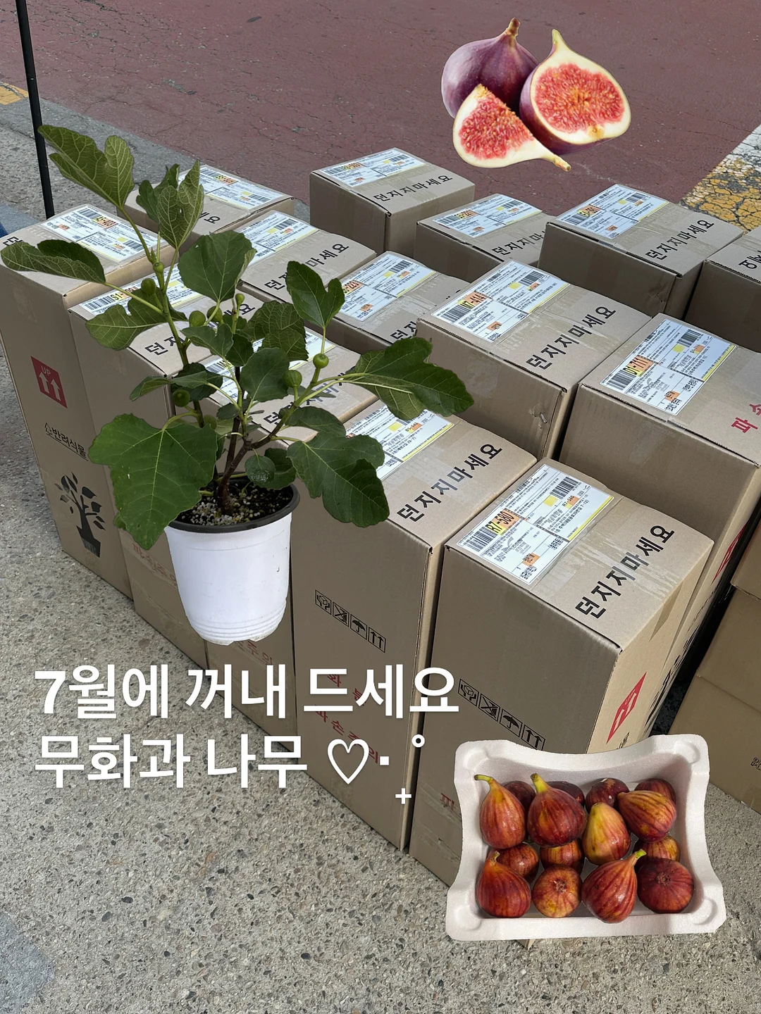 소개팅 1