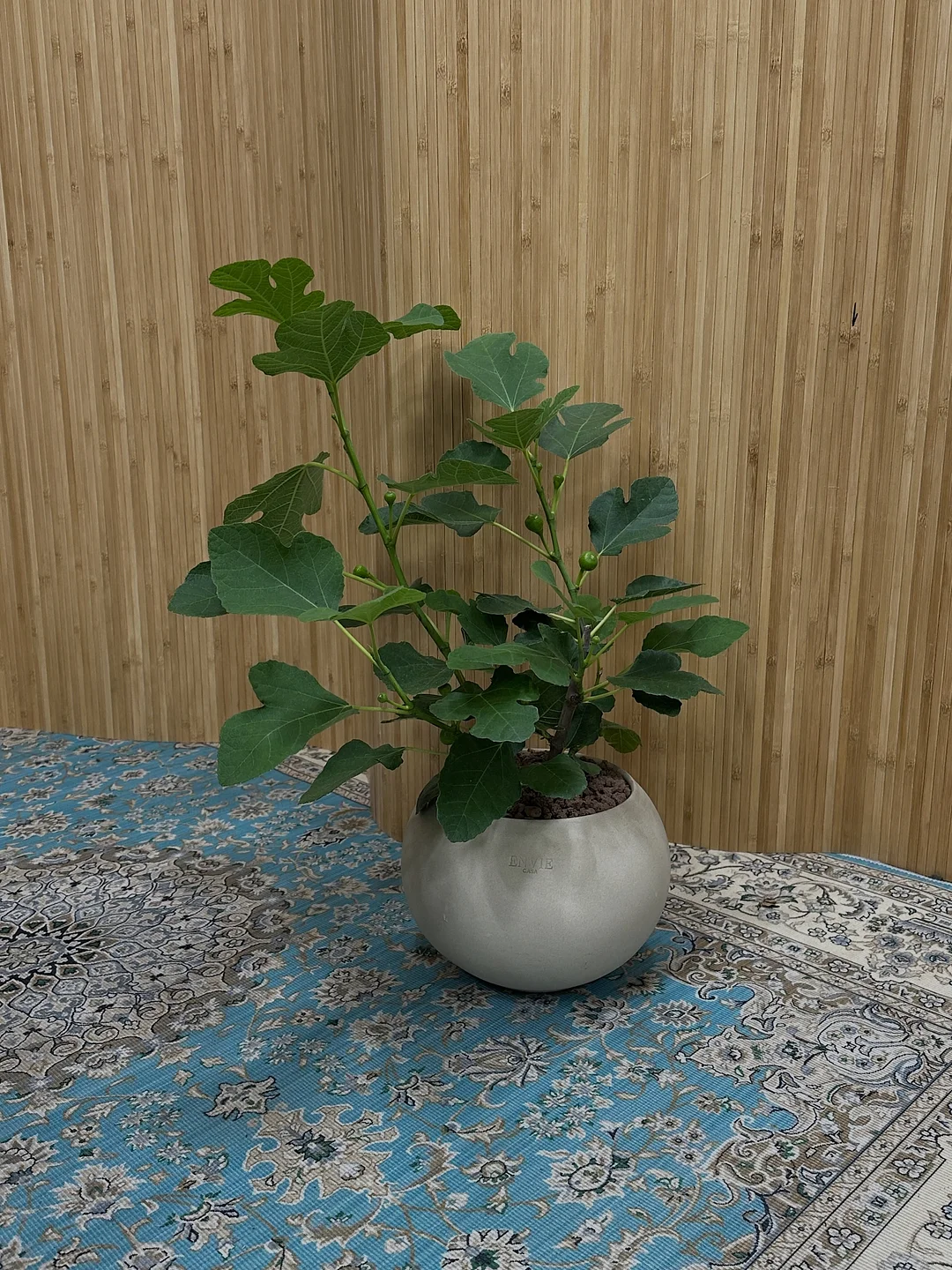 소개팅 4