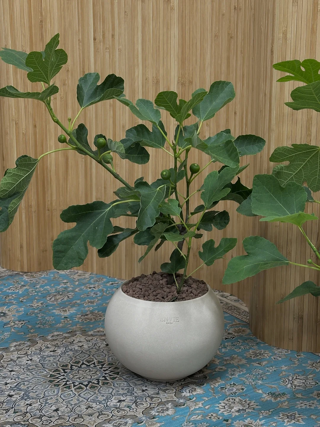 소개팅 5