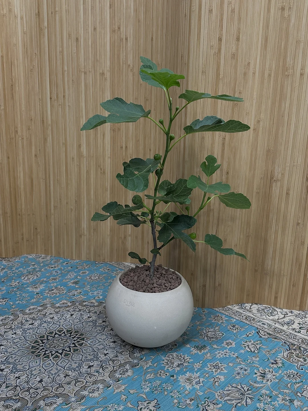 소개팅 9
