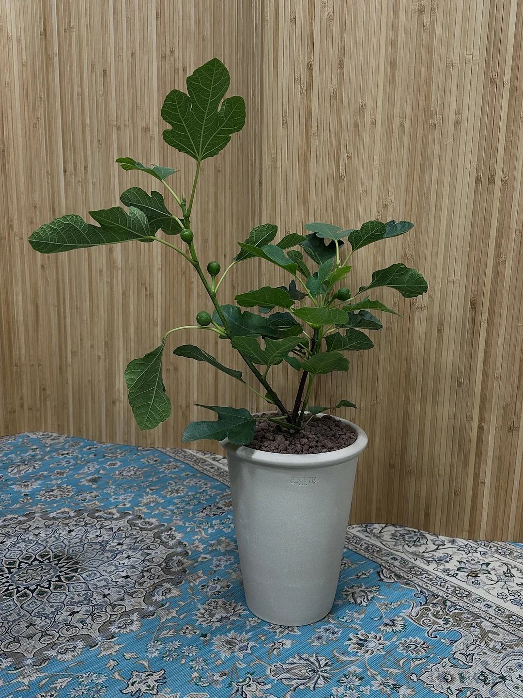 소개팅 10