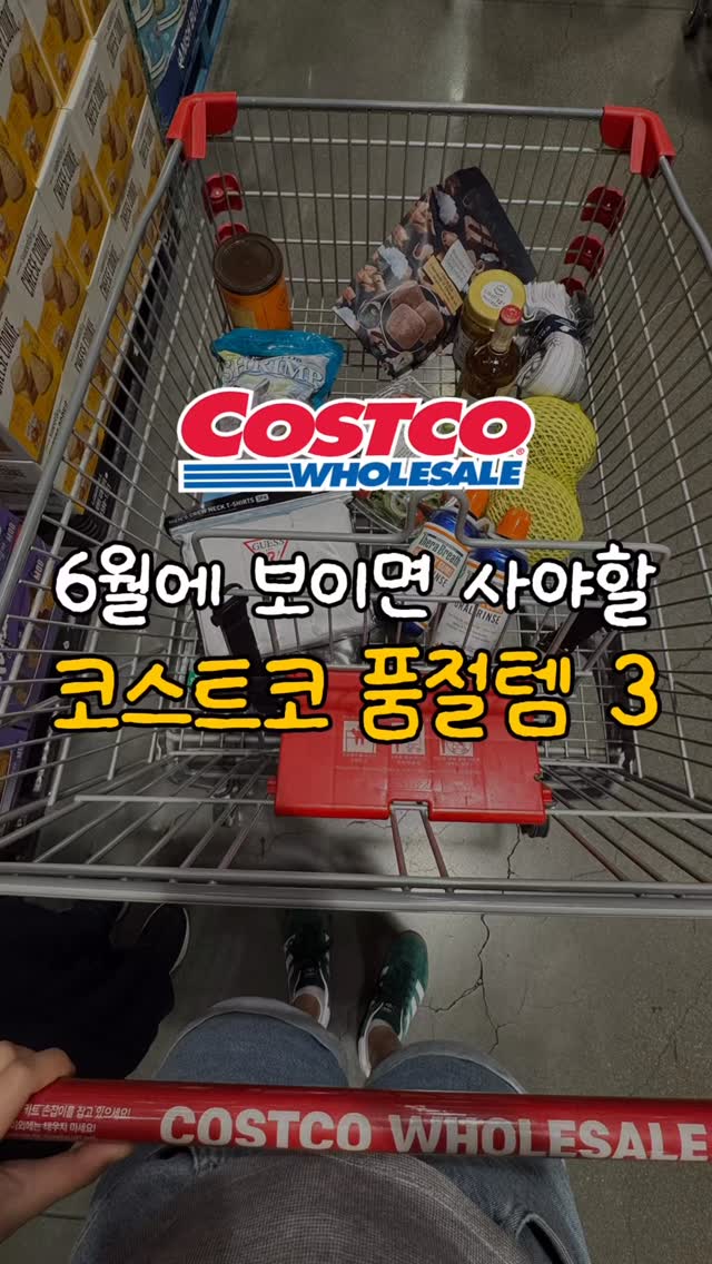 골든 밀크 레시피