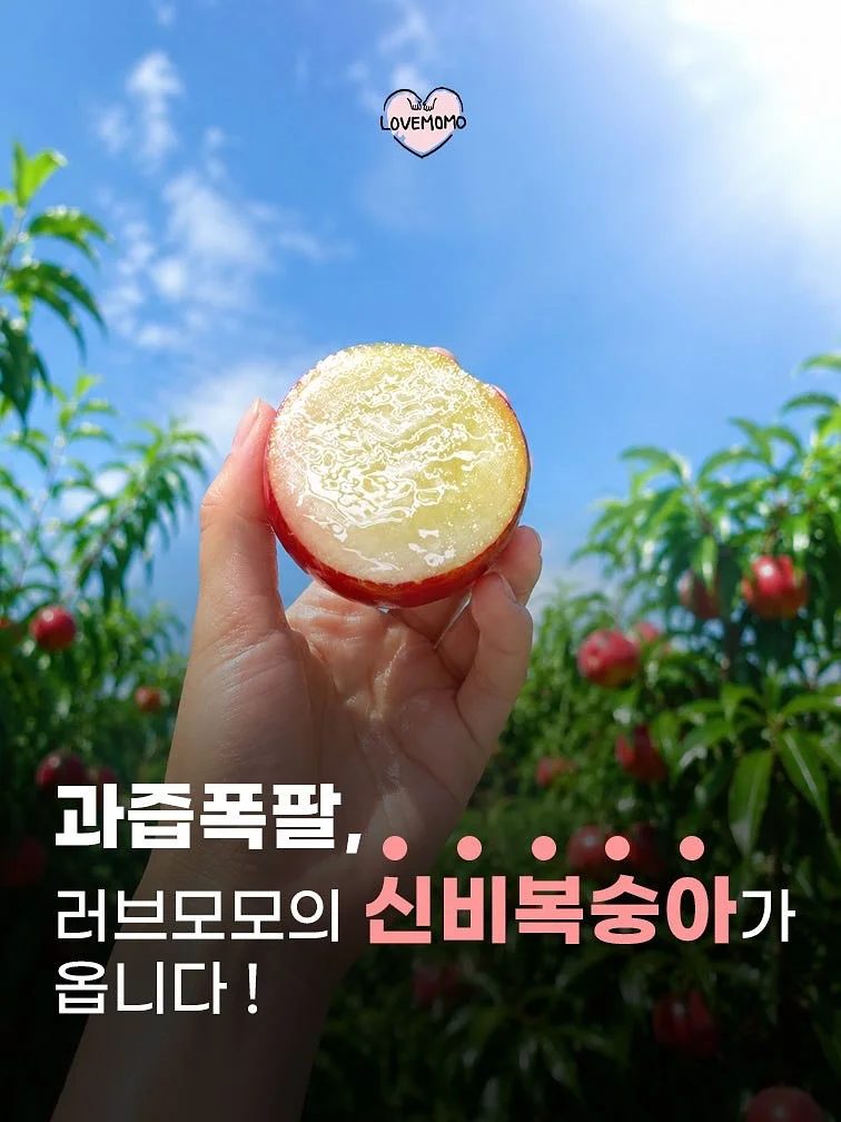 유기농 엑스트라버진 올리브오일 레몬 스틱 1