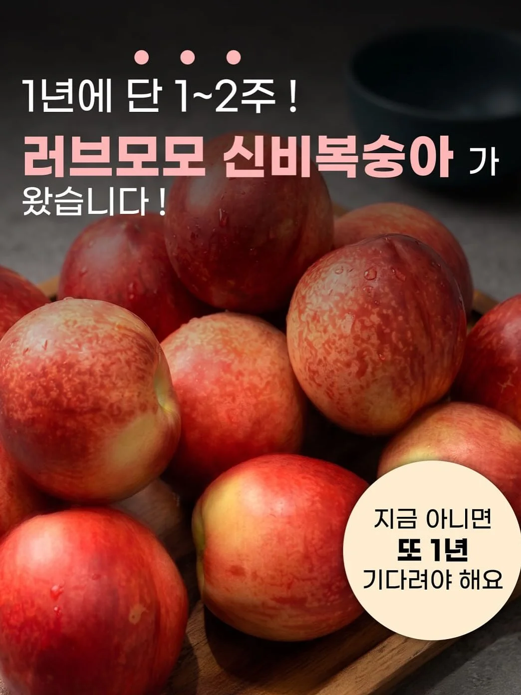유기농 엑스트라버진 올리브오일 레몬 스틱 2
