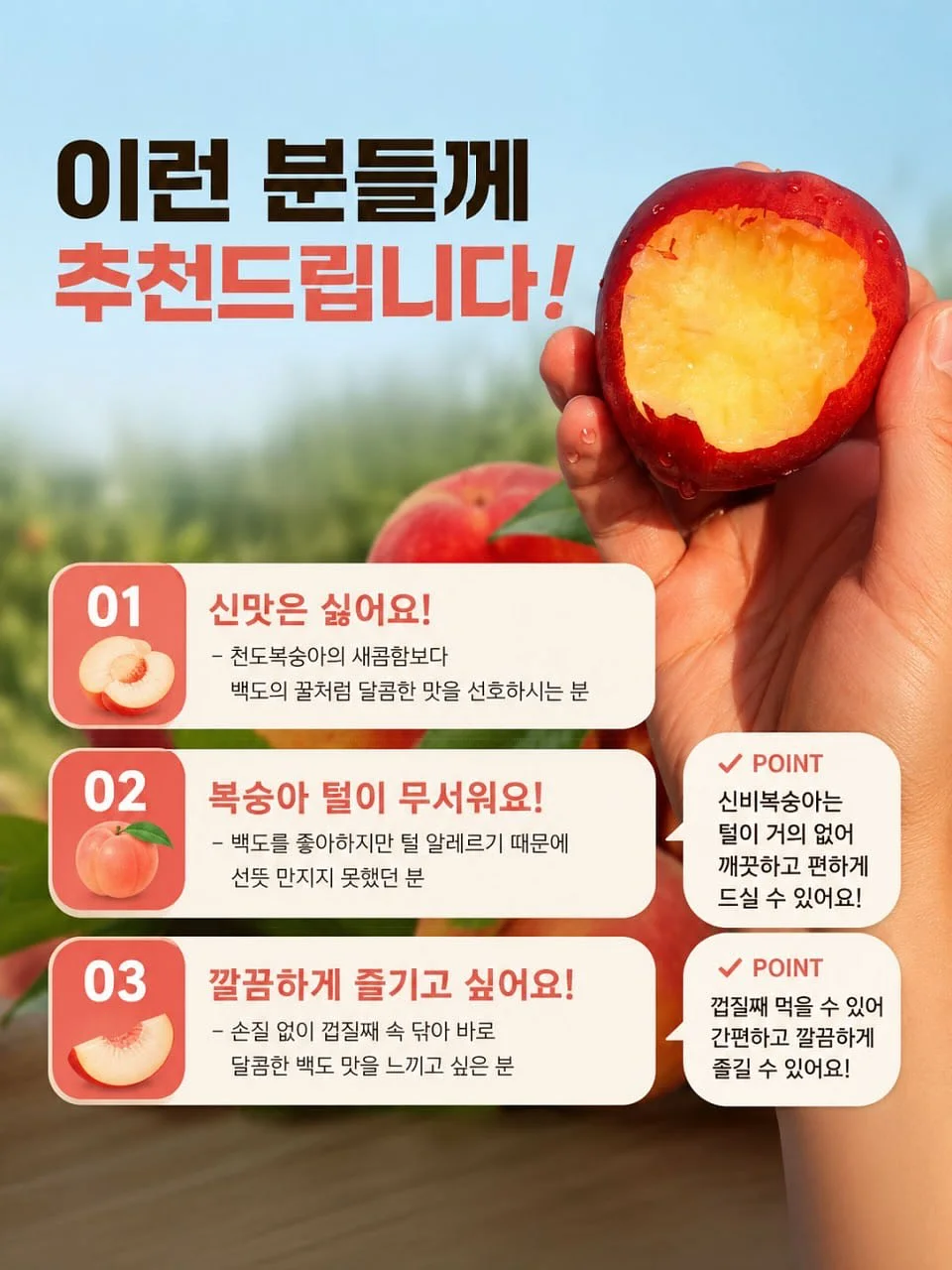 유기농 엑스트라버진 올리브오일 레몬 스틱 4
