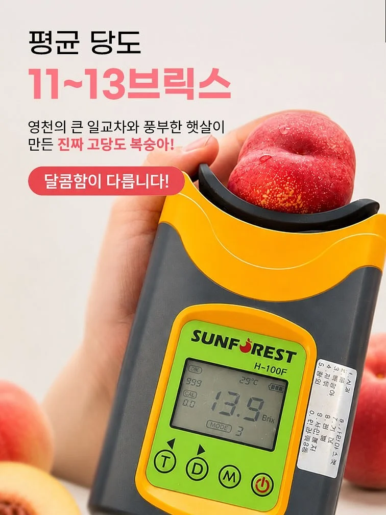 유기농 엑스트라버진 올리브오일 레몬 스틱 5