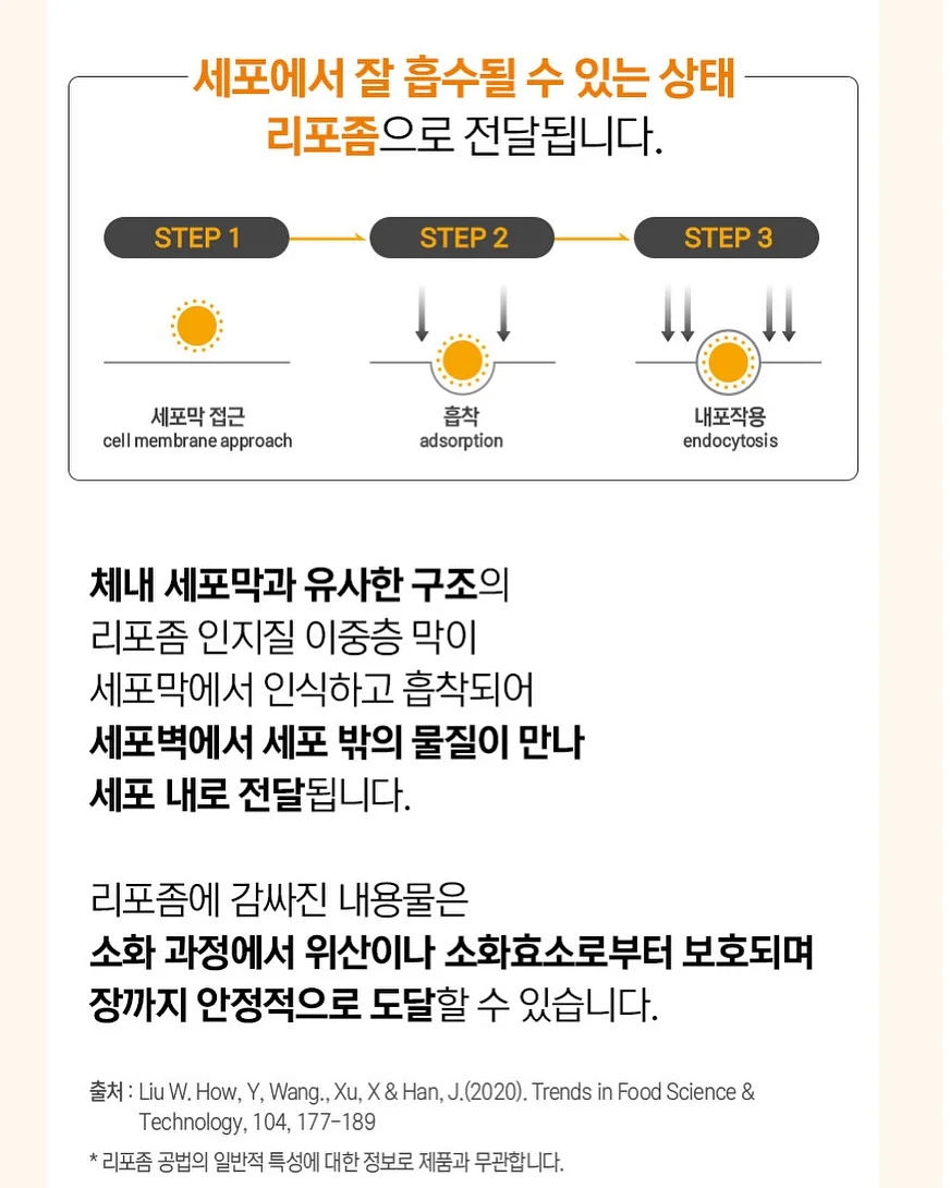 체리 타르트 5
