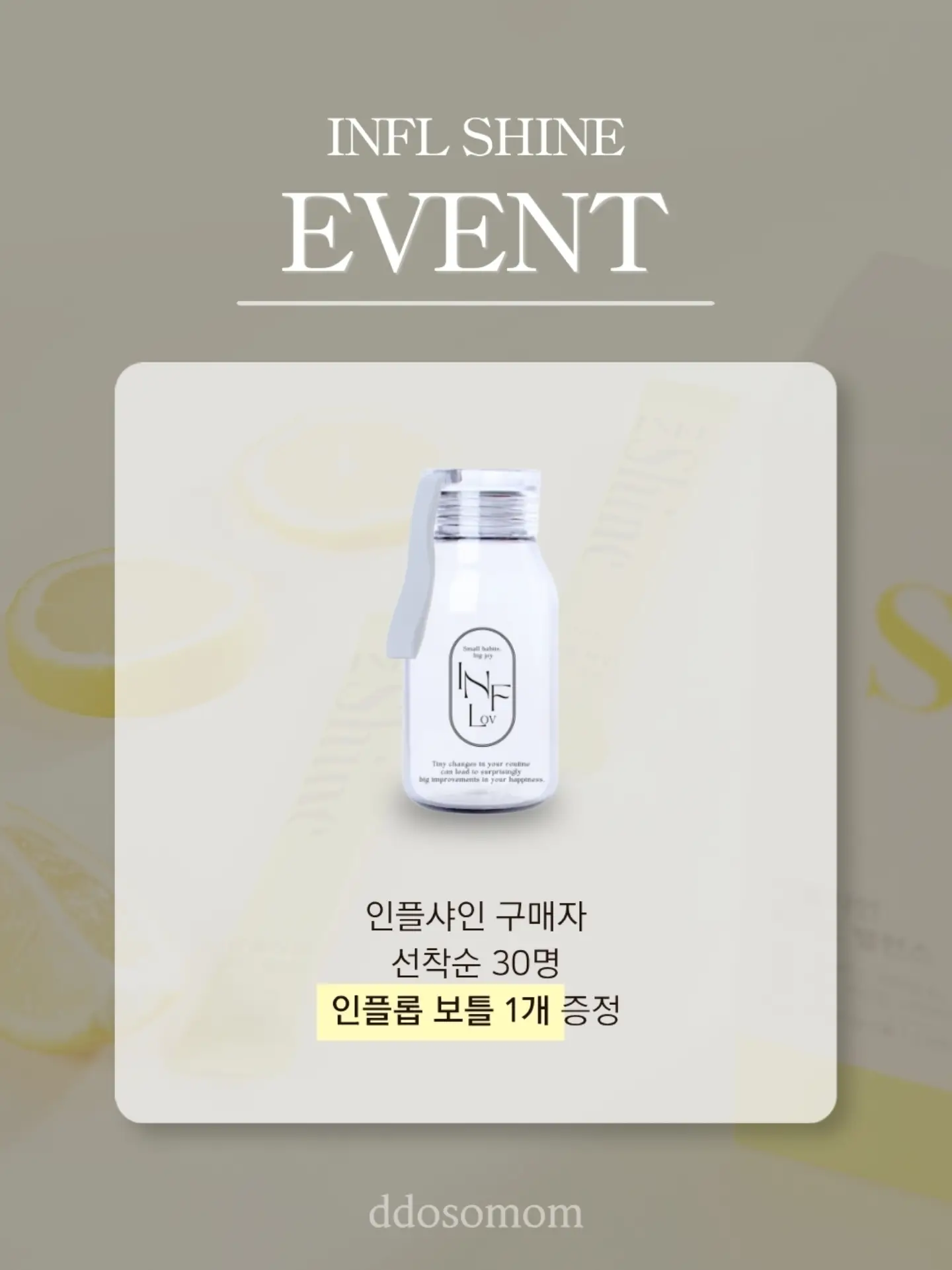 큔의 제피 열매 발효 비건 버터를 바른 구례밀 바게트 5