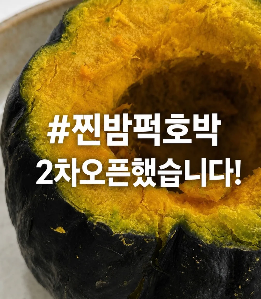 유독피아 반려견 숙소