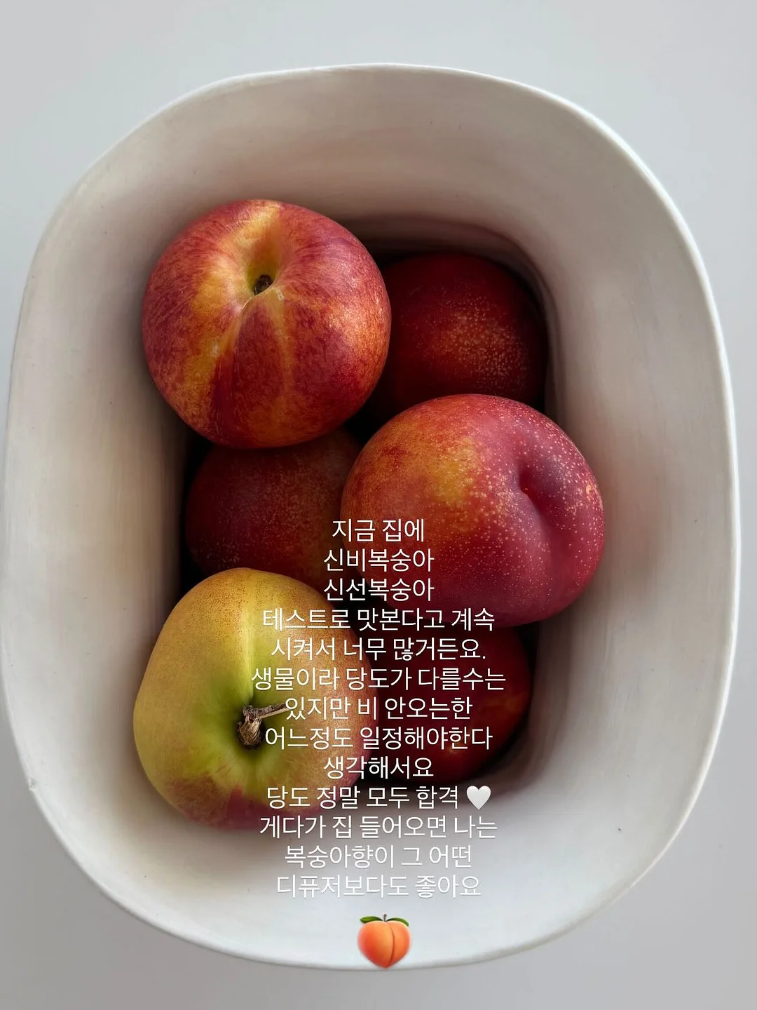 사랑을 담아, 제인 오스틴 2