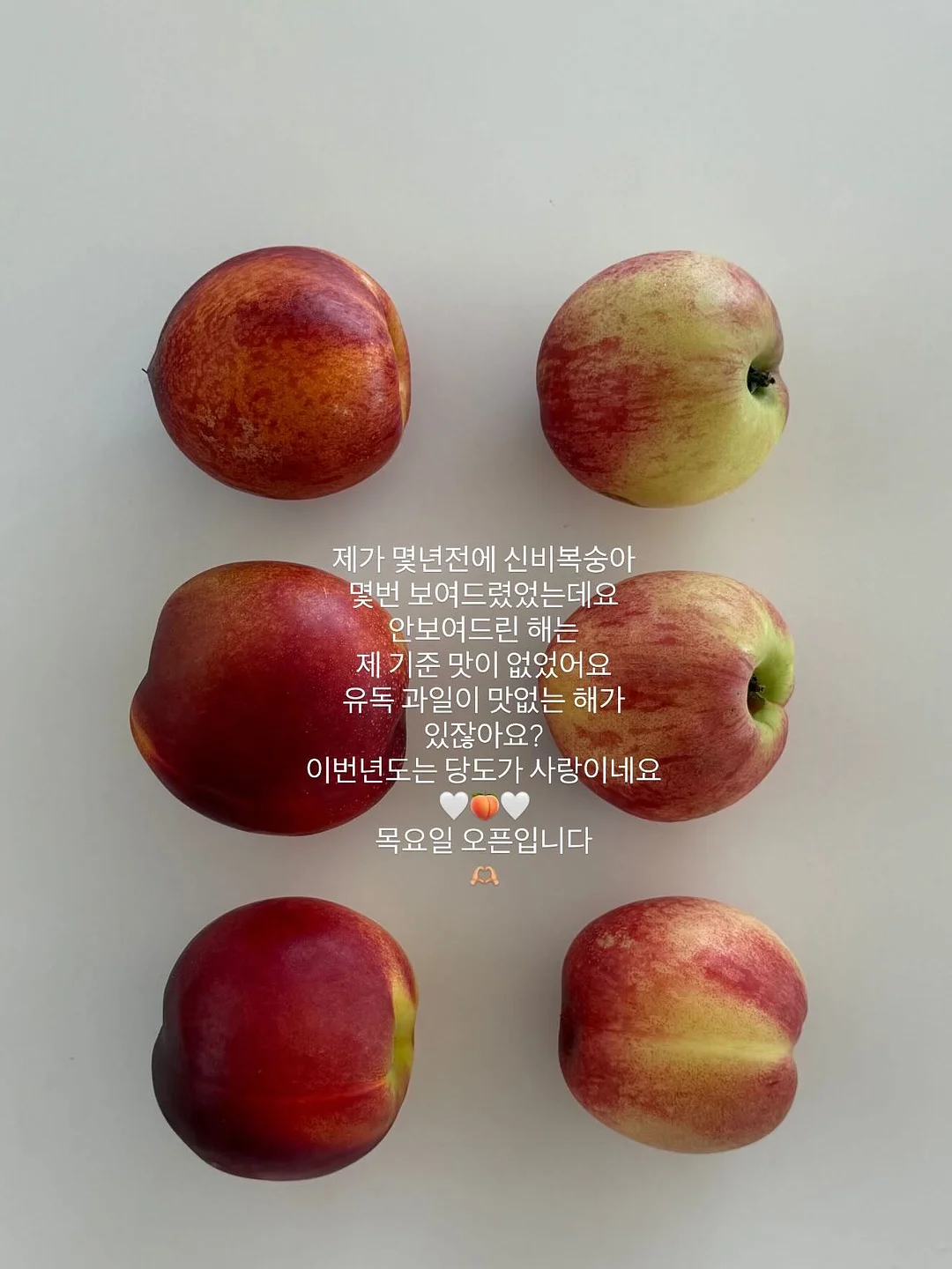 사랑을 담아, 제인 오스틴 3