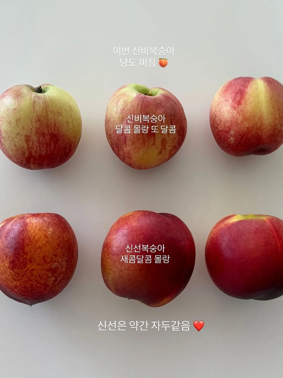 사랑을 담아, 제인 오스틴 4