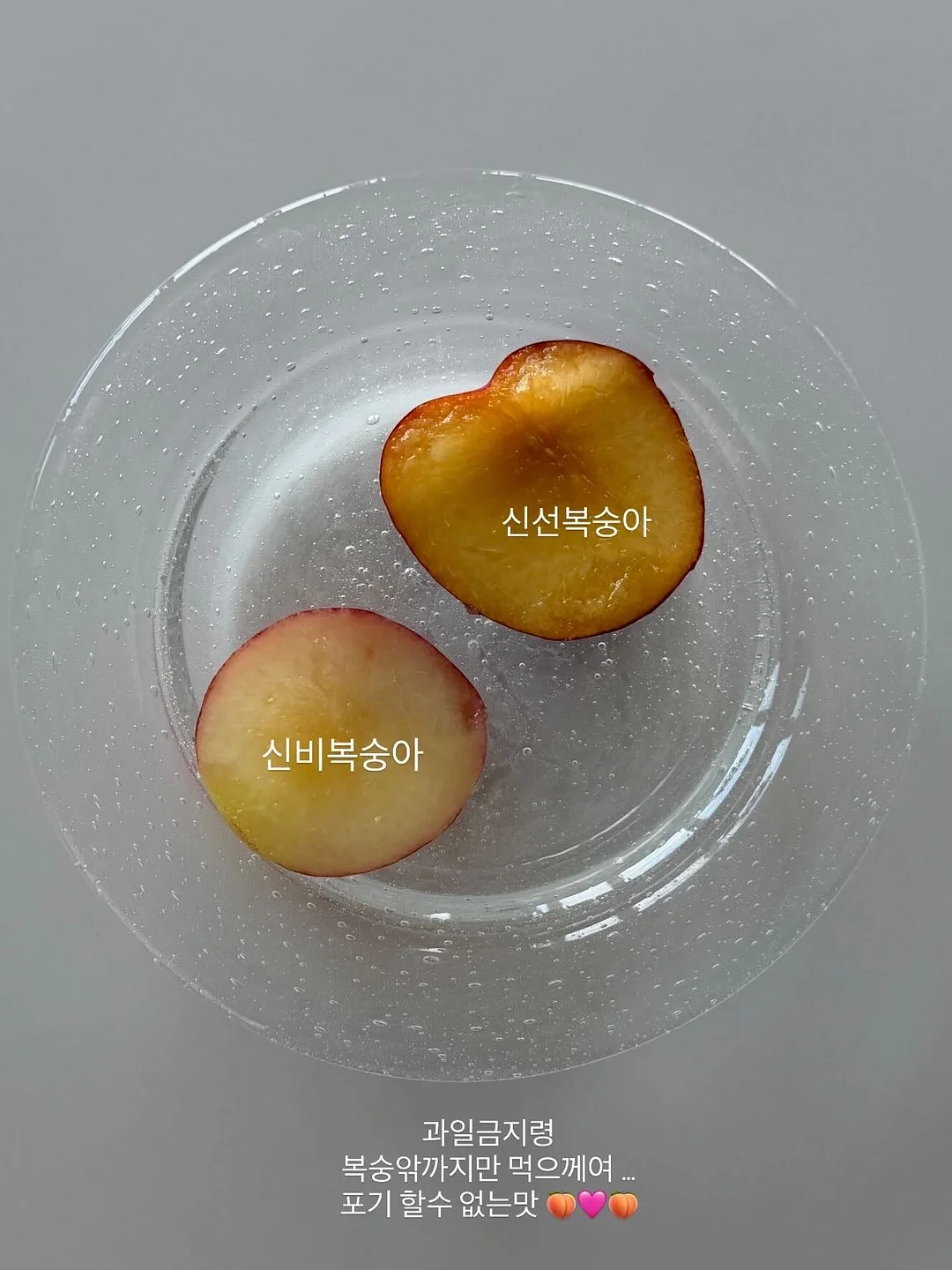 사랑을 담아, 제인 오스틴 5