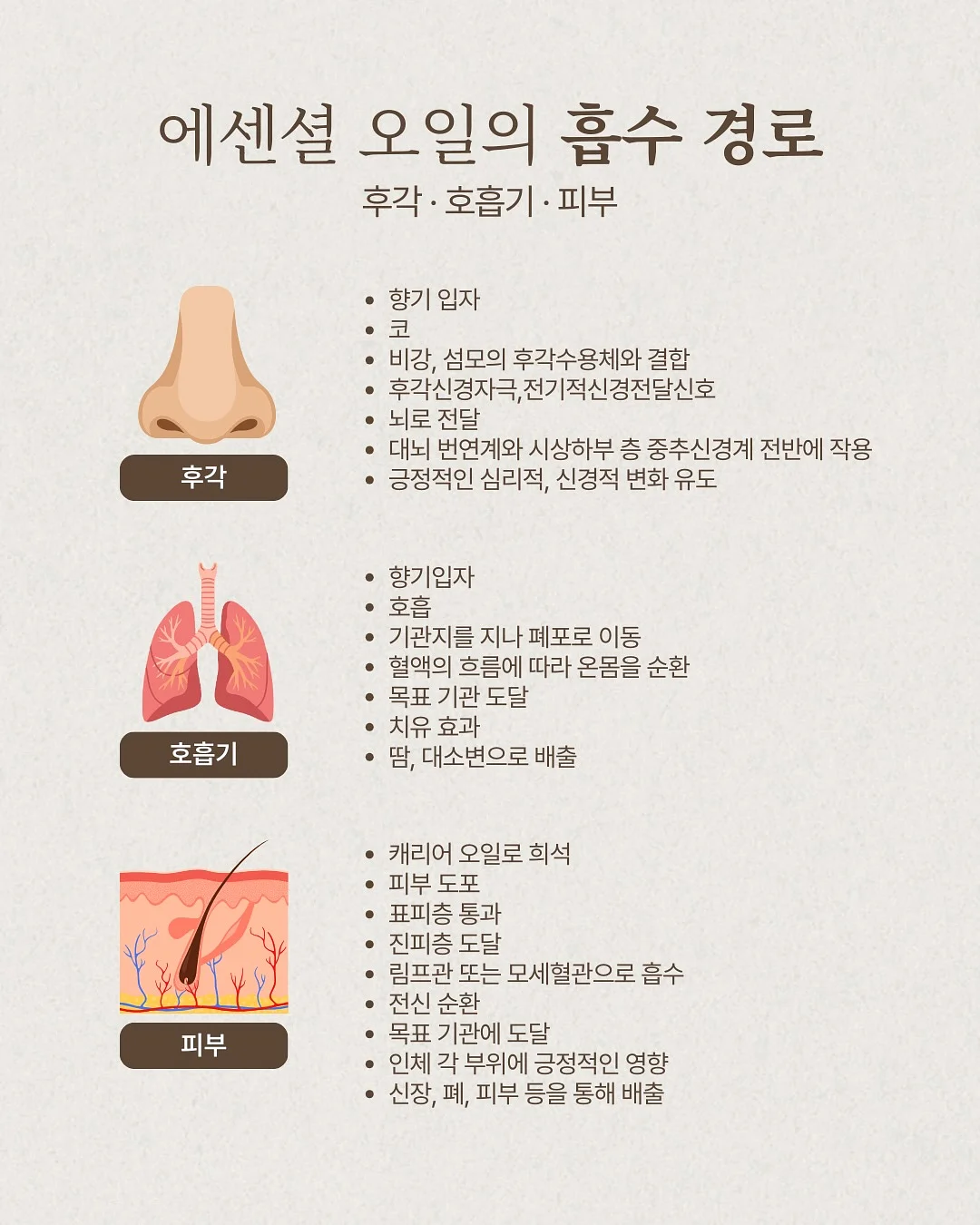 BD사이언스 유기농 레몬즙과 애사비 4
