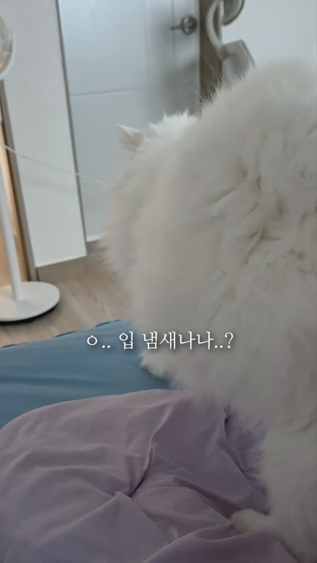 캠핑 벌레 퇴치제