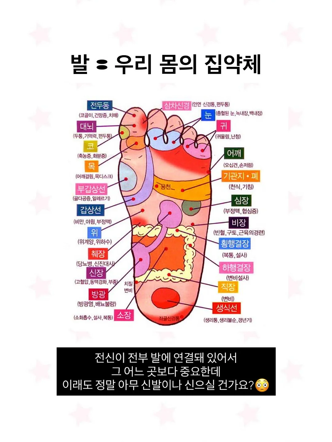 루나백 2