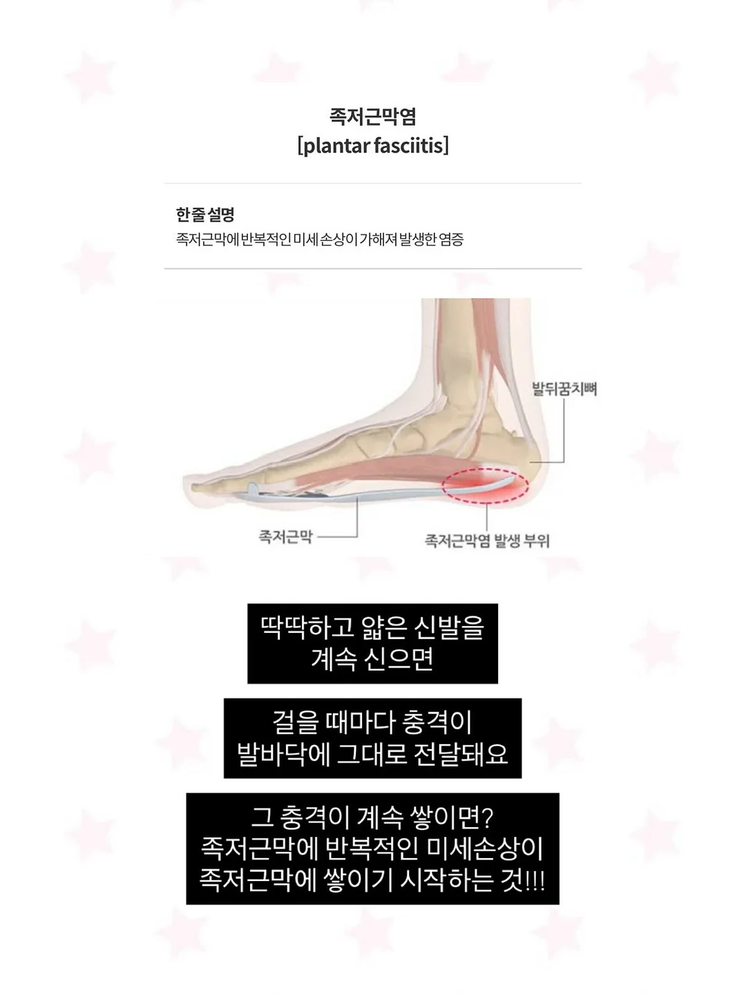 루나백 3