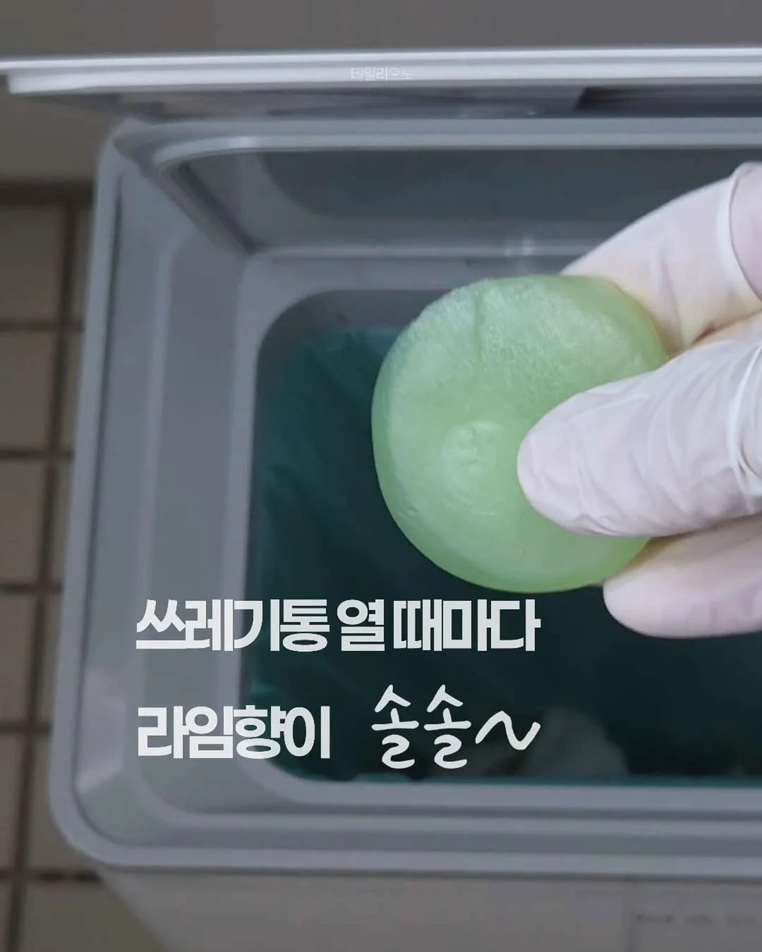 체감정 8
